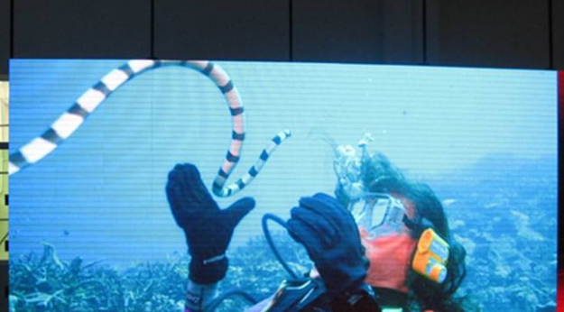 美股四次熔斷，會對室內(nèi)全彩led顯示屏行業(yè)造成怎樣的影響呢